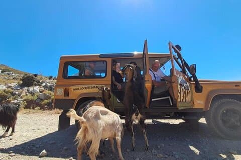 Guided Jeep Safari With Swimming And Snacks