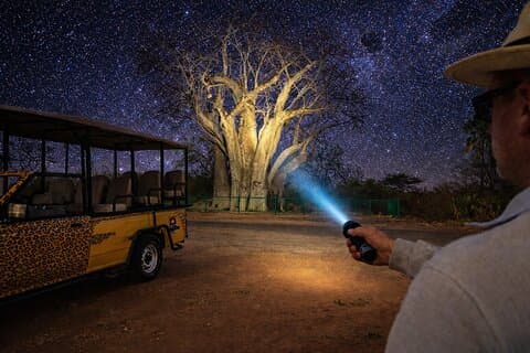 Stargazing in the Wild - Bush Experience com 4x4 *F-D-ES