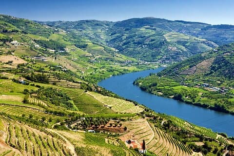 Tour enológico por el valle del Duero desde Oporto con crucero por el río y almuerzo