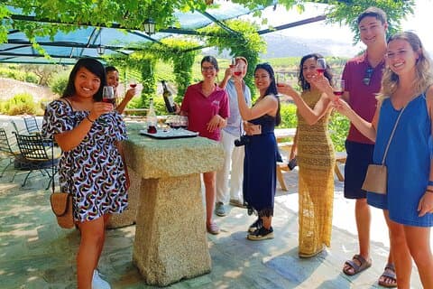 Douro Valley Small-Group Tour: 4 Estates, Lunch & Olive Oil