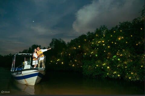 Mystical Nights Fireflies and Blue Tears Adventure Join in Tour