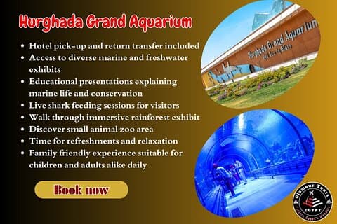 2 - Uur Rode Zee Marine Life Experience in Hurghada Grand Aquarium