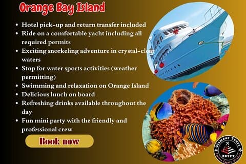 Orange Bay Snorkling med lunsj
