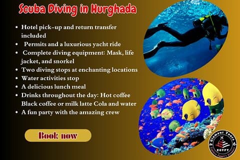 Heldagsdykking i Hurghada