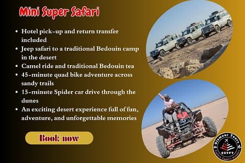 3-hour Mini Super Safari in Hurghada