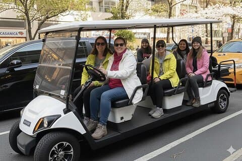 New York City's History & Landmarks Guided City Tour by E-Cart