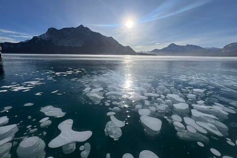 Privat dagstur til Icefield Parkway og Abraham Lake