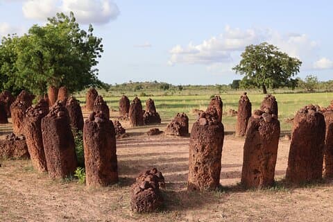 2 Days Cultural Tour of Georgetown and Gambia's River Region