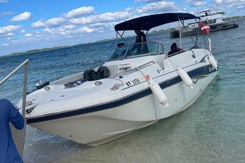 Private,Turtles, snorkeling, beach stops, pigs, drinks included!”