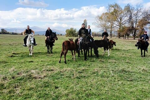 Scenic Trail Rides