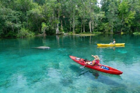 Silver Springs Manatee Kayak, Glass Boat Small Group Max 14 Tour