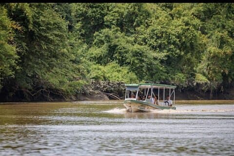 Palo Verde Wildlife Safari Boat Tour