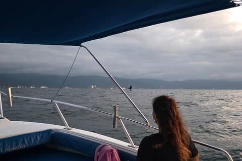 privado avistamiento ballenas al Atardecer