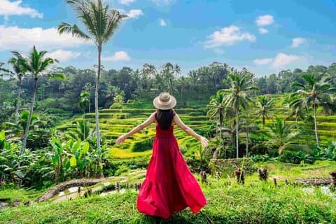 All inclusive - Tour di Ubud, Cascata, Tempio e Jungle Swing