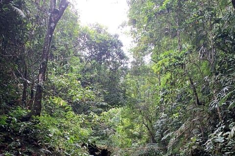 Vietnam Tribal Trails / Survival Jungle Trekking en Kamperen