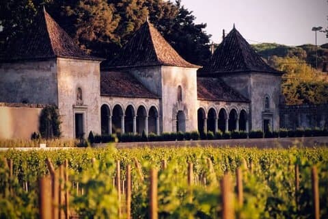 Privat rundtur i Serra da Arrábida, Sesimbra & Setúbal Wines