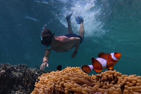 Koh Lipe Morning Snorkeling Trip 4 Islands, 5 Spots
