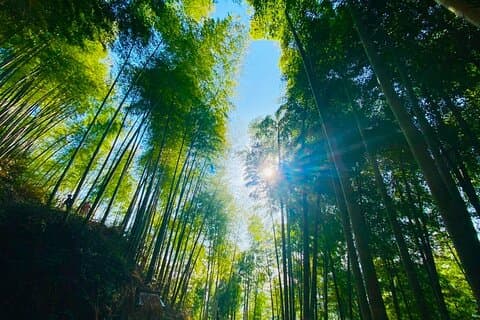 Privat Hangzhou rundvandring till Jingshan Zen Temple