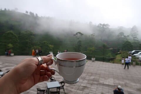 Labookellie Tea Factory Tour vanuit Nuwara Eliya