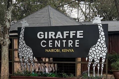 Experiencia en el Centro de la Jirafa y el Parque Nacional de Nairobi