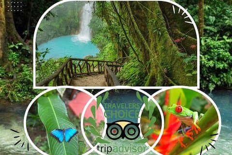 Privat Rio Celeste Vattenfall Expedition Costa Rica