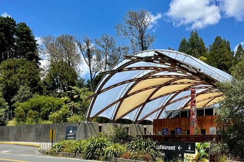 Waitomo huler / overførsel
