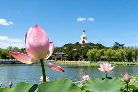 2-stündiger Beijing Private Jingshan Coal Hill Park und Spaziergang durch den Beihai Park