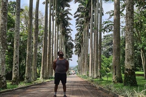 Accra City and Nature dagtour met waterval en lunch