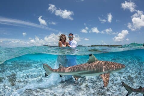 Private Full Day Aquatic Photo Tour + Resort Photo-Shoot (All inclusive)
