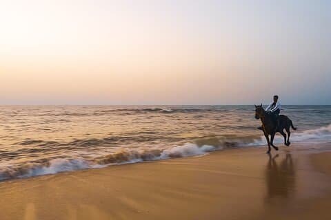 Noordhoek : Balade privée à cheval sur la plage au Cap