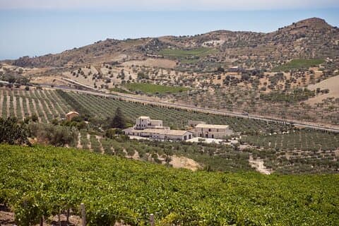 Olive Grove tur og oljesmaking på en historisk mølle i nærheten av Agrigento