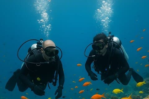 Discover Scuba Diving From Ocho Rios