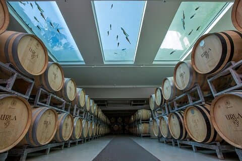 Private Izmir Wine Tasting Tour in Urla's Wine Country