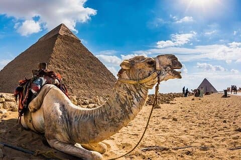 Heldags Pyramids of giza & Sphinx och gratis Camel Ride & Flucca & Lunch