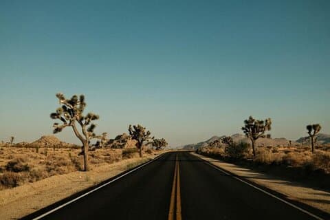 Visite aller simple de Las Vegas à Los Angeles Parc national Joshua Tree