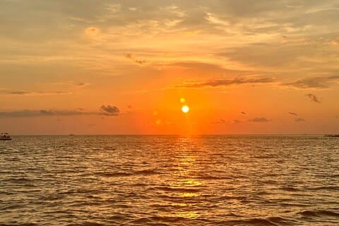 Anna Maria Island Sunset and Dolphin Tour