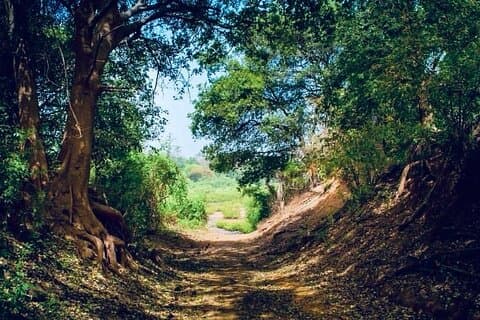 6-Day Niokolo Koba National Park & Dindefelo Waterfalls Adventure