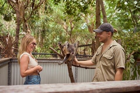 Koala and Wildlife Park Ontdek de inheemse dieren van de Magnetische Eilanden