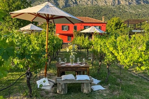 Dubrovnik Malvasia Wine Experience à Konavle