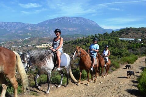 Alanya: Horseback Riding in Taurus: Forest Havudsigt 2.5 timer