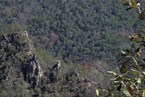 Route to the Peñas Cuatas Science Forest and Adventure