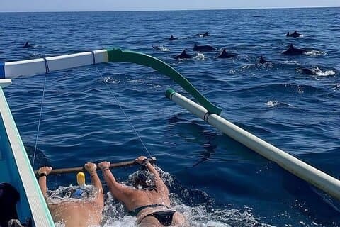 Bali: Dolphin Watching, Swimming Dolphin, Snorkeling & Breakfast