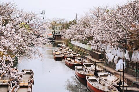 Dazaifu und Yanagawa Kanal Kreuzfahrt Private Fortgeschrittener Tagesausflug mit dem Zug
