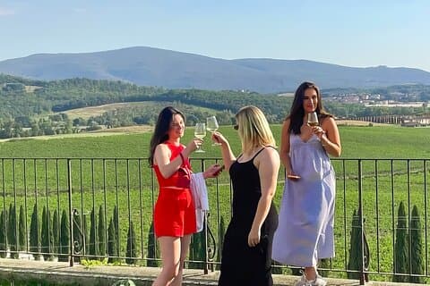 Fra Firenze: Chianti halvdags vin tur med smak