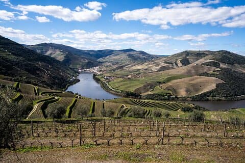 Private Boat, Lunch & Wine Tour