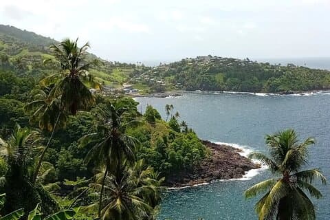Relaxing Nature Walk at Botanical Gardens of St. Vincent