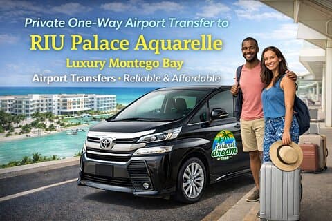 Privat OneWay Flygplatstransfer till RIU Palace Aquarelle