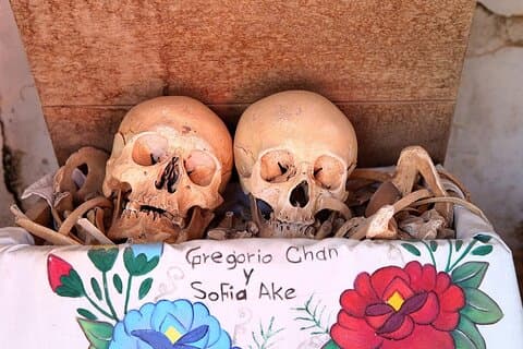 Campeche: cochinita pibil, hats and Mayan cemetery