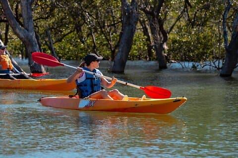 Guided Kayak Tour