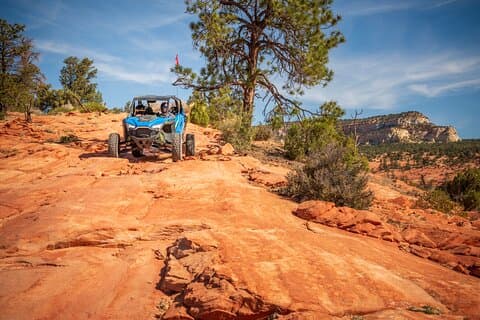 Zion UTV Adventure! Si guida!! Tour UTV di 4 ore